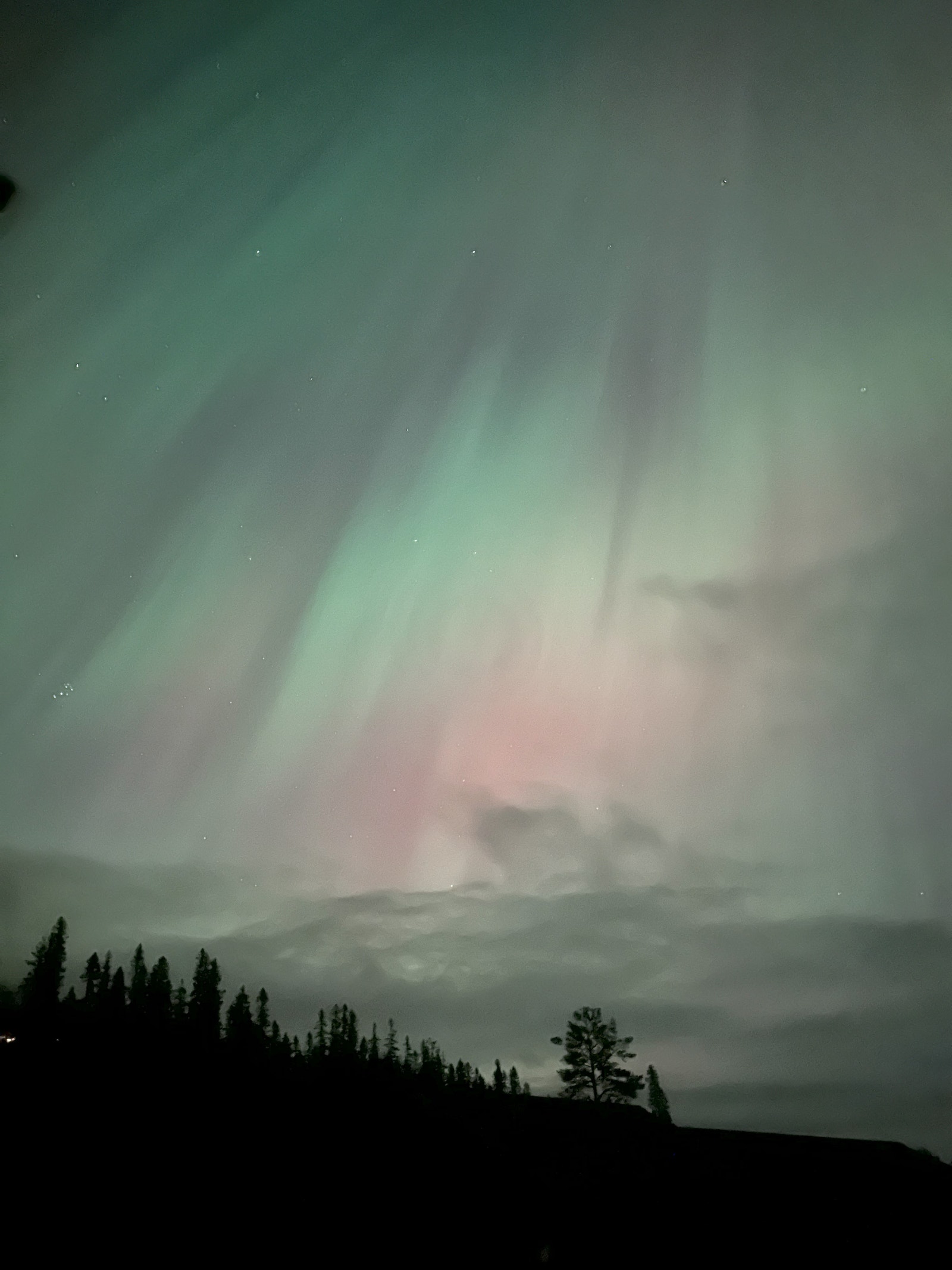 Nordlys sett fra hytta. Galleribilde