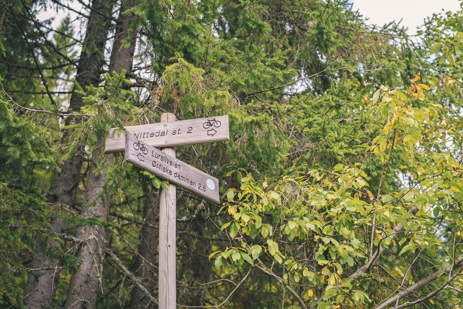 Fine turmuligheter rett i nærheten. Galleribilde