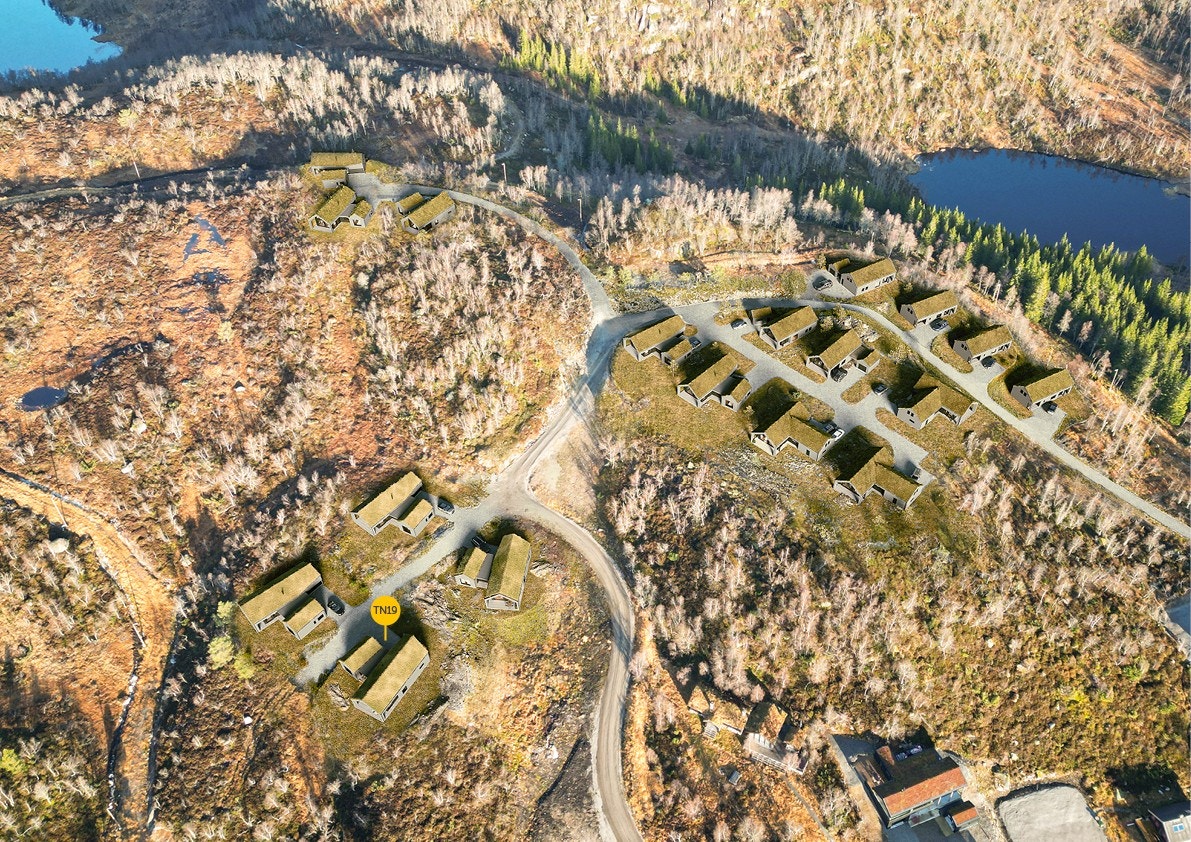 TN 19-Forsberg 3 Galleribilde