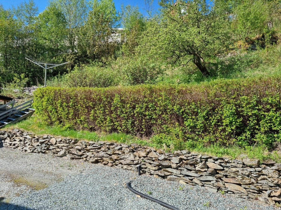 Fra gårdsplass mot sørvest Galleribilde