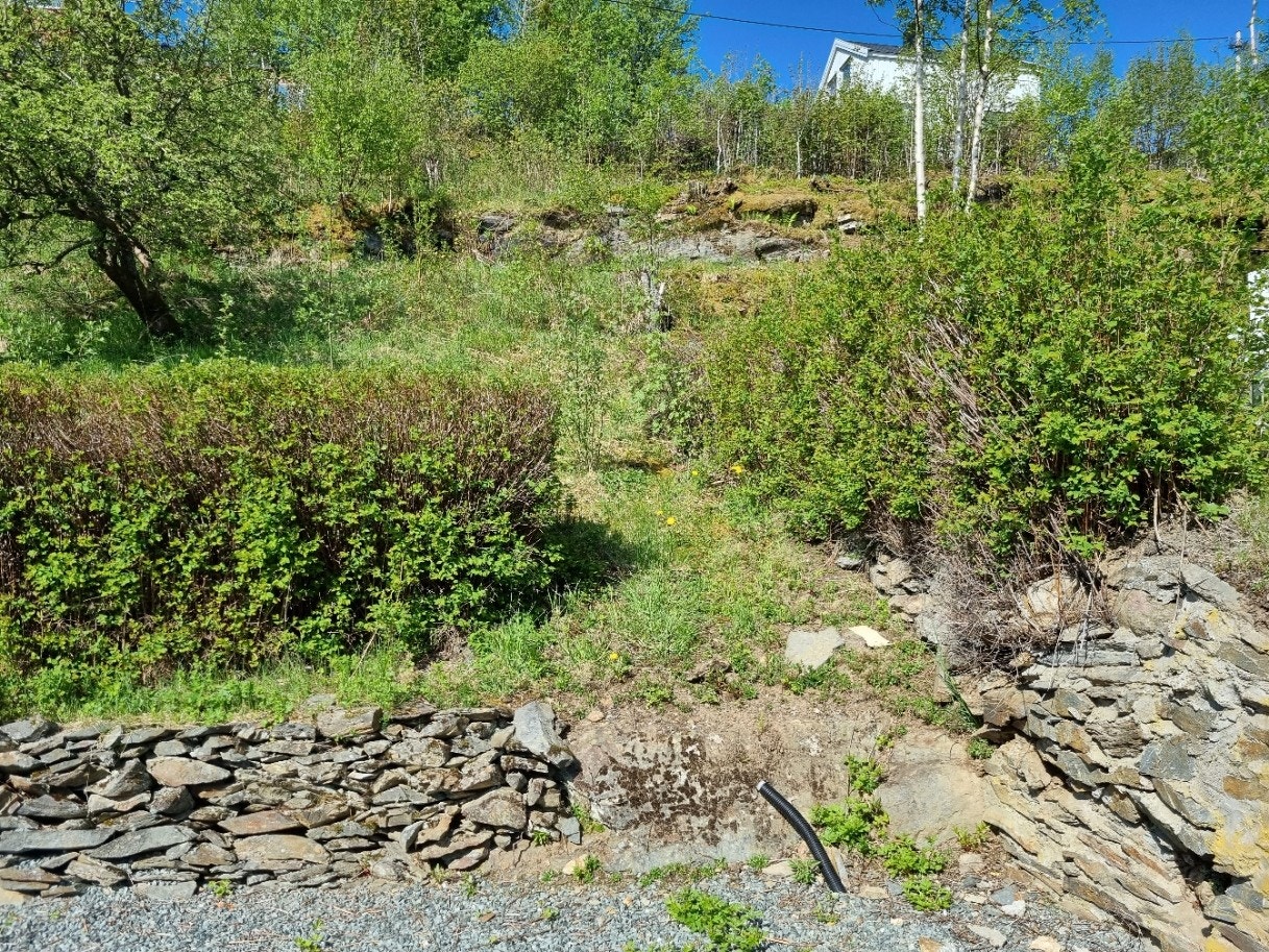 Fra gårdsplass mot vest Galleribilde