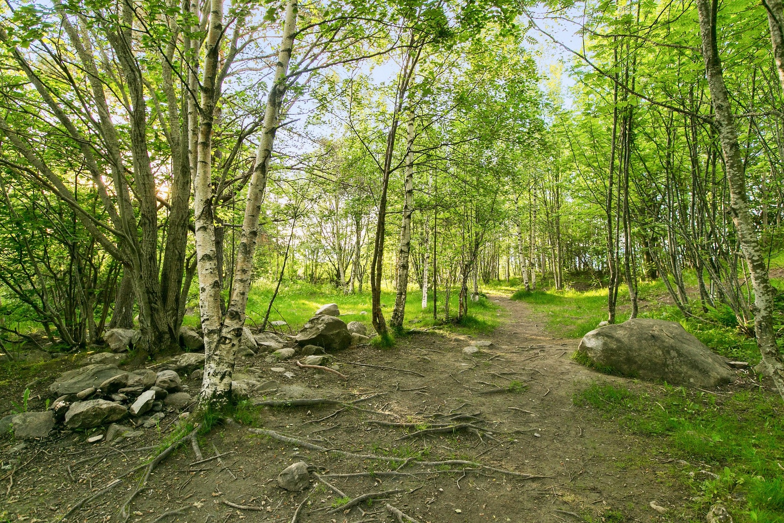Mange hyggelige turstier rett ved prosjektet. Galleribilde