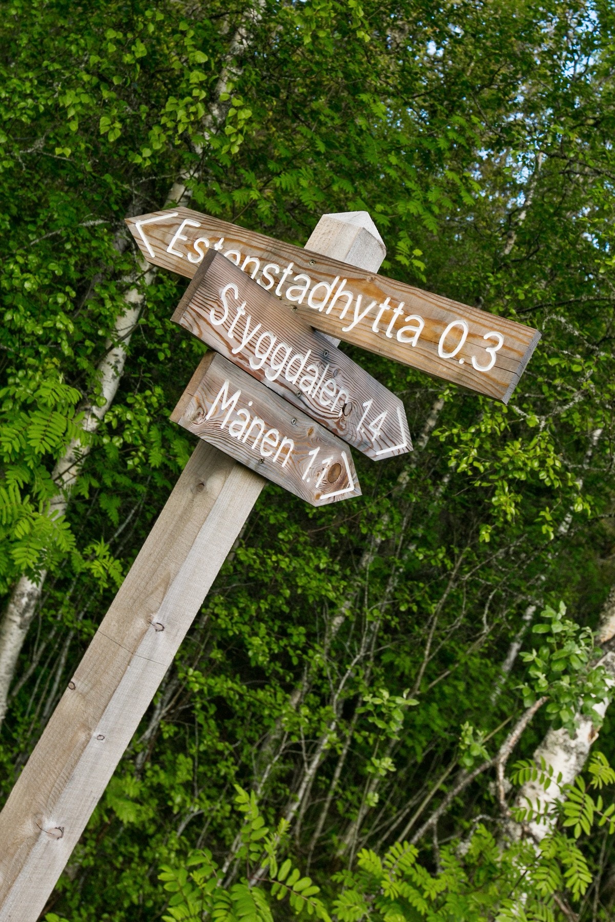 Beliggenheten gir mange gode turmål rett på utsiden av døra. Galleribilde