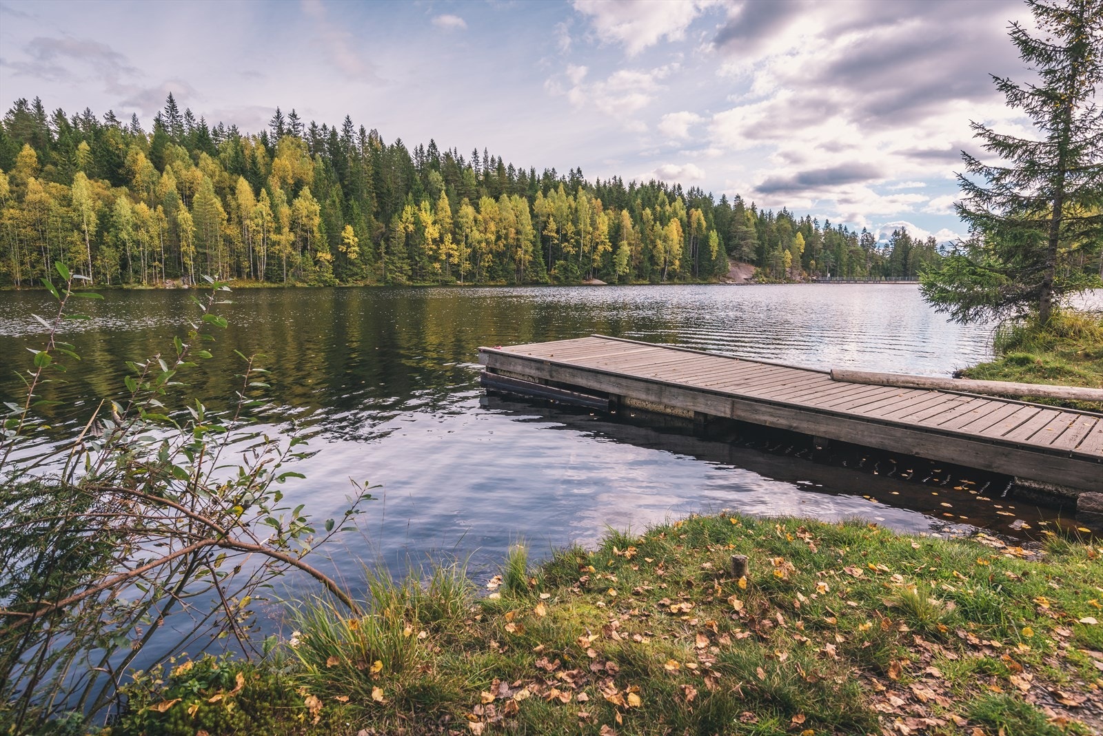 Bade eller fiske - kanskje begge deler. Galleribilde
