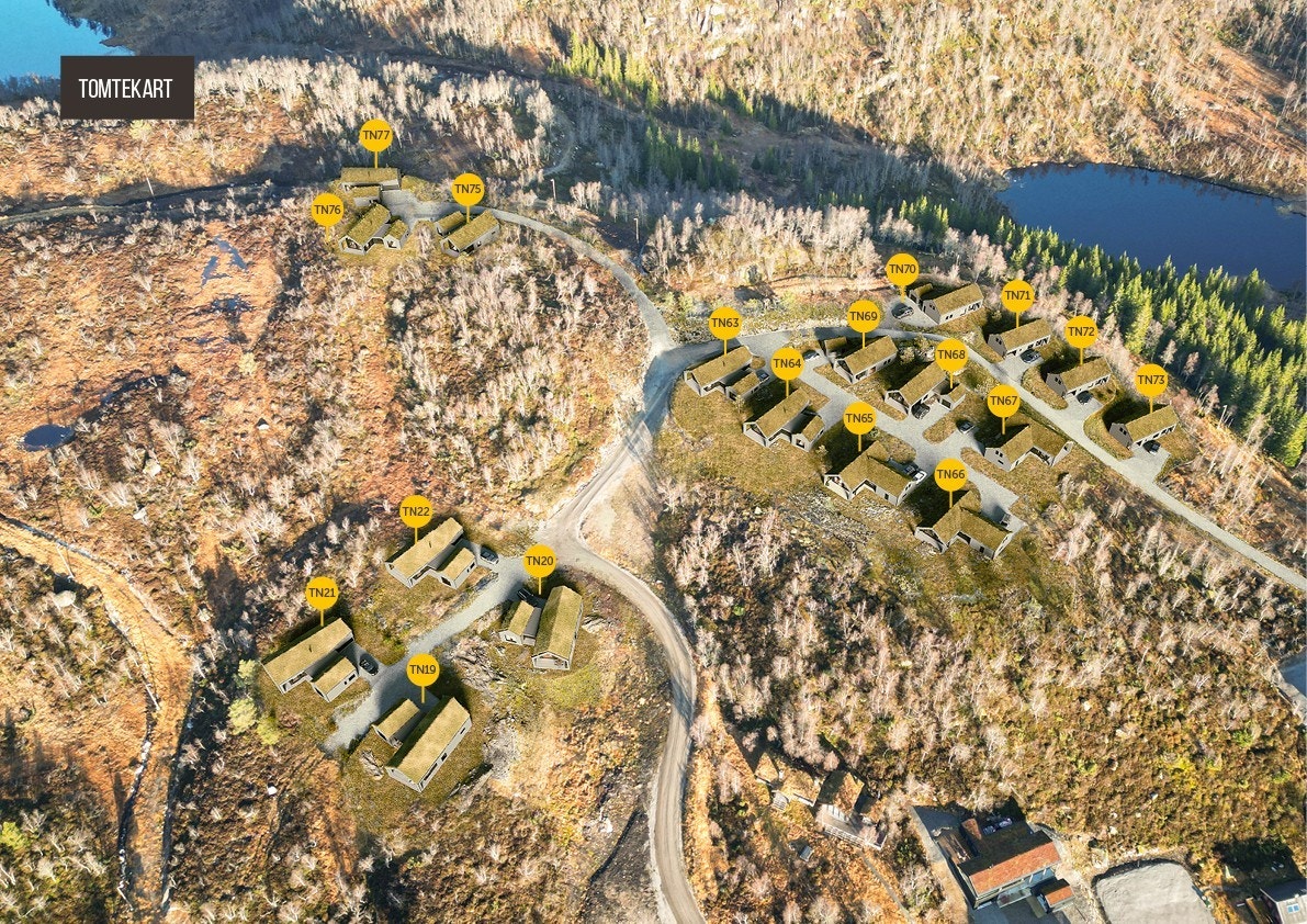 TN 20-Forsberg 3 Galleribilde