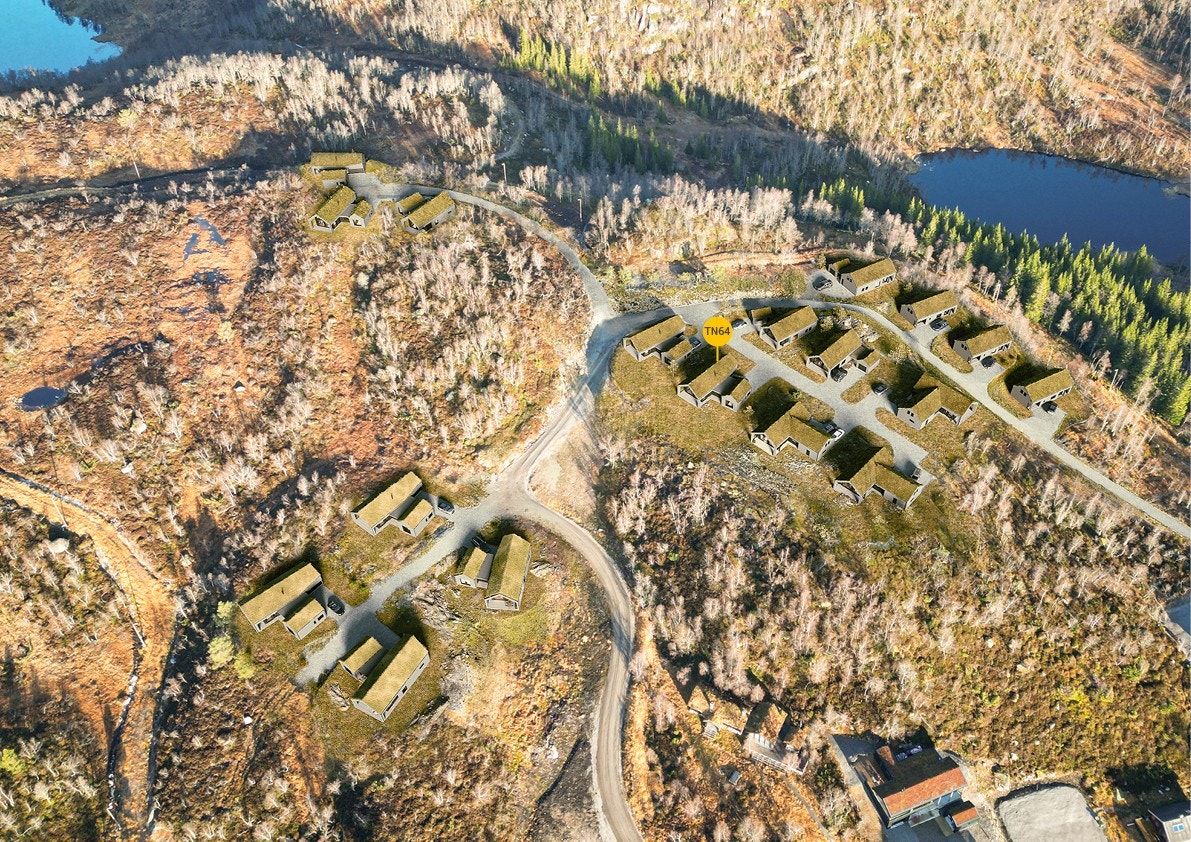 TN 64-Forsberg 3 Galleribilde