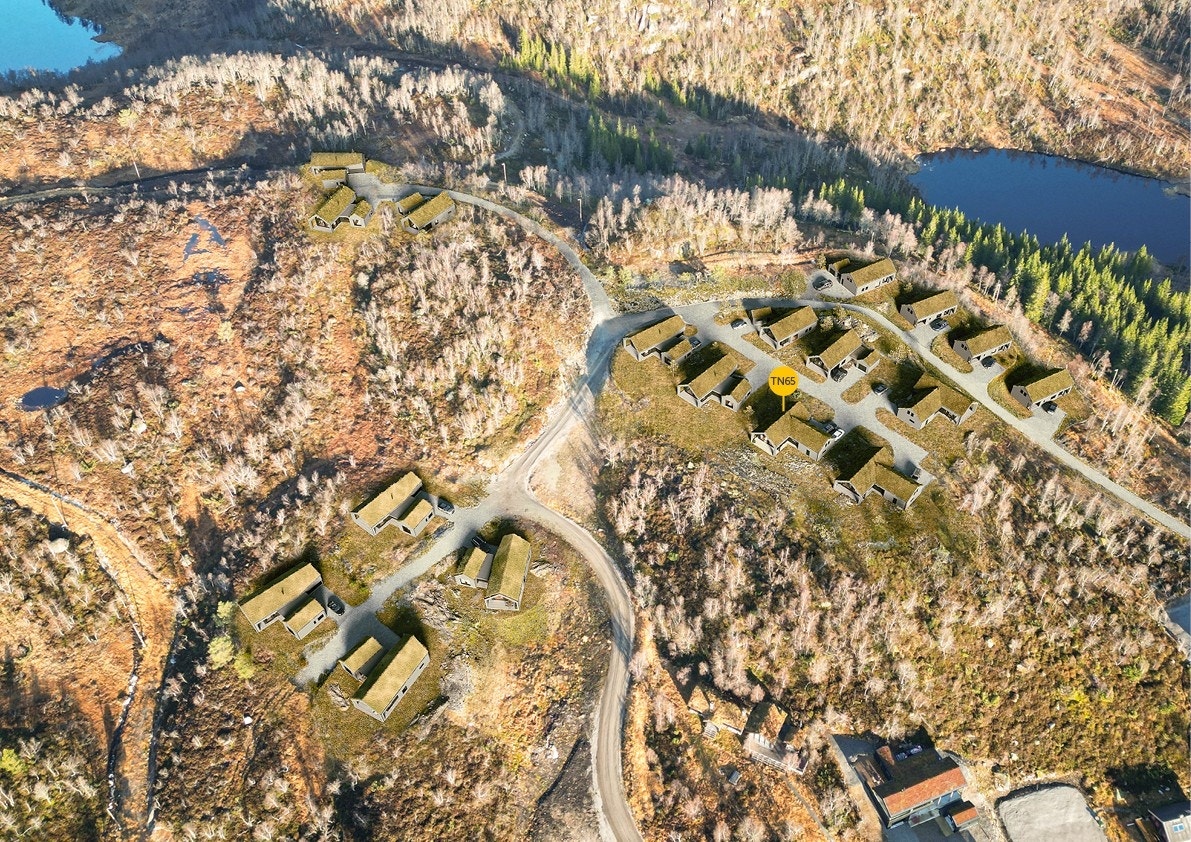 TN 65 -Forsberg 2 Galleribilde