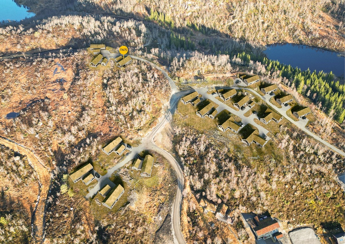 TN 75-Forsberg 3 Galleribilde