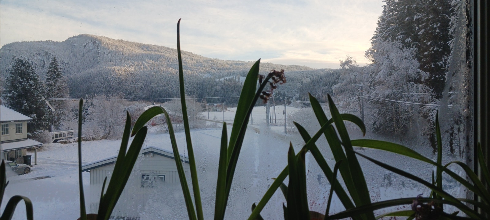 Utsikt fra badet Galleribilde