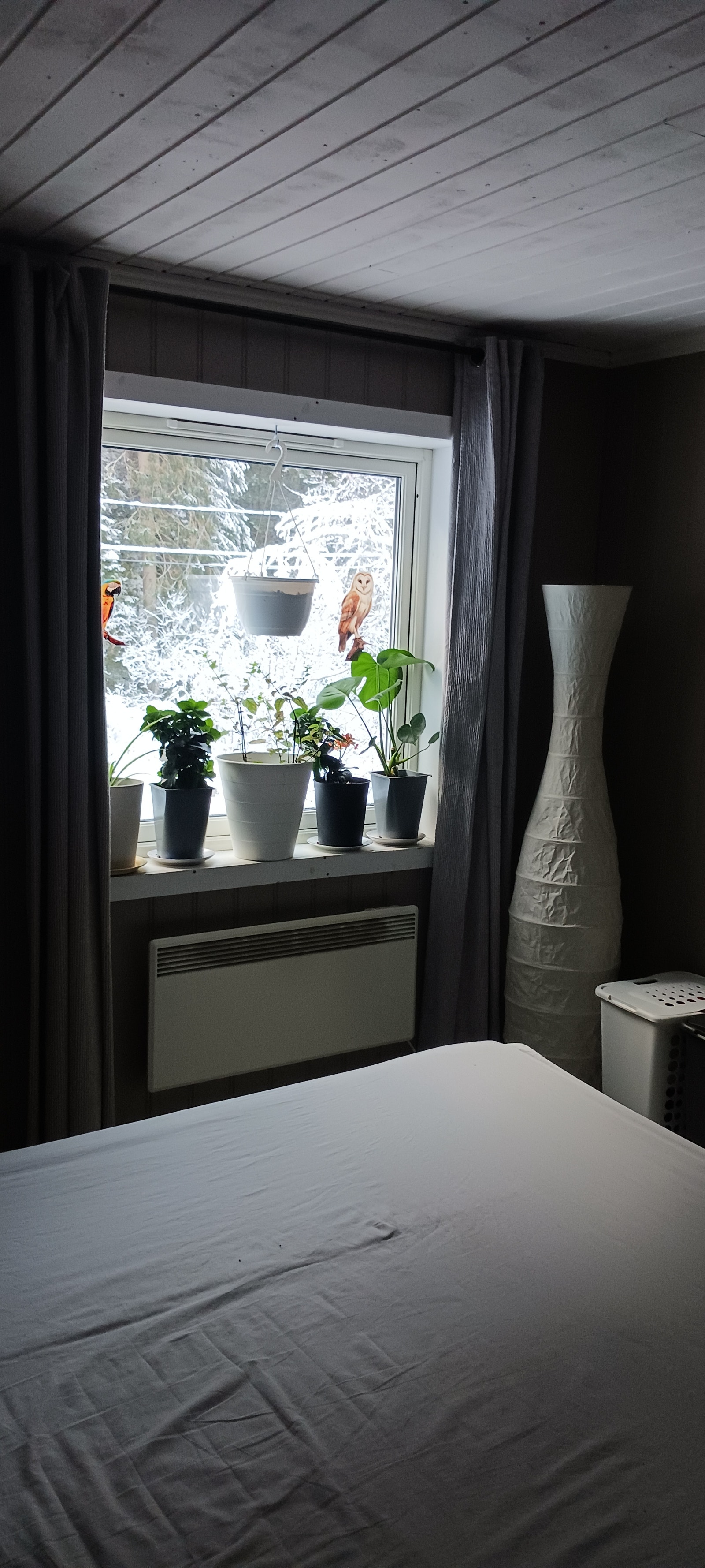 Stor vindu på rommet Galleribilde