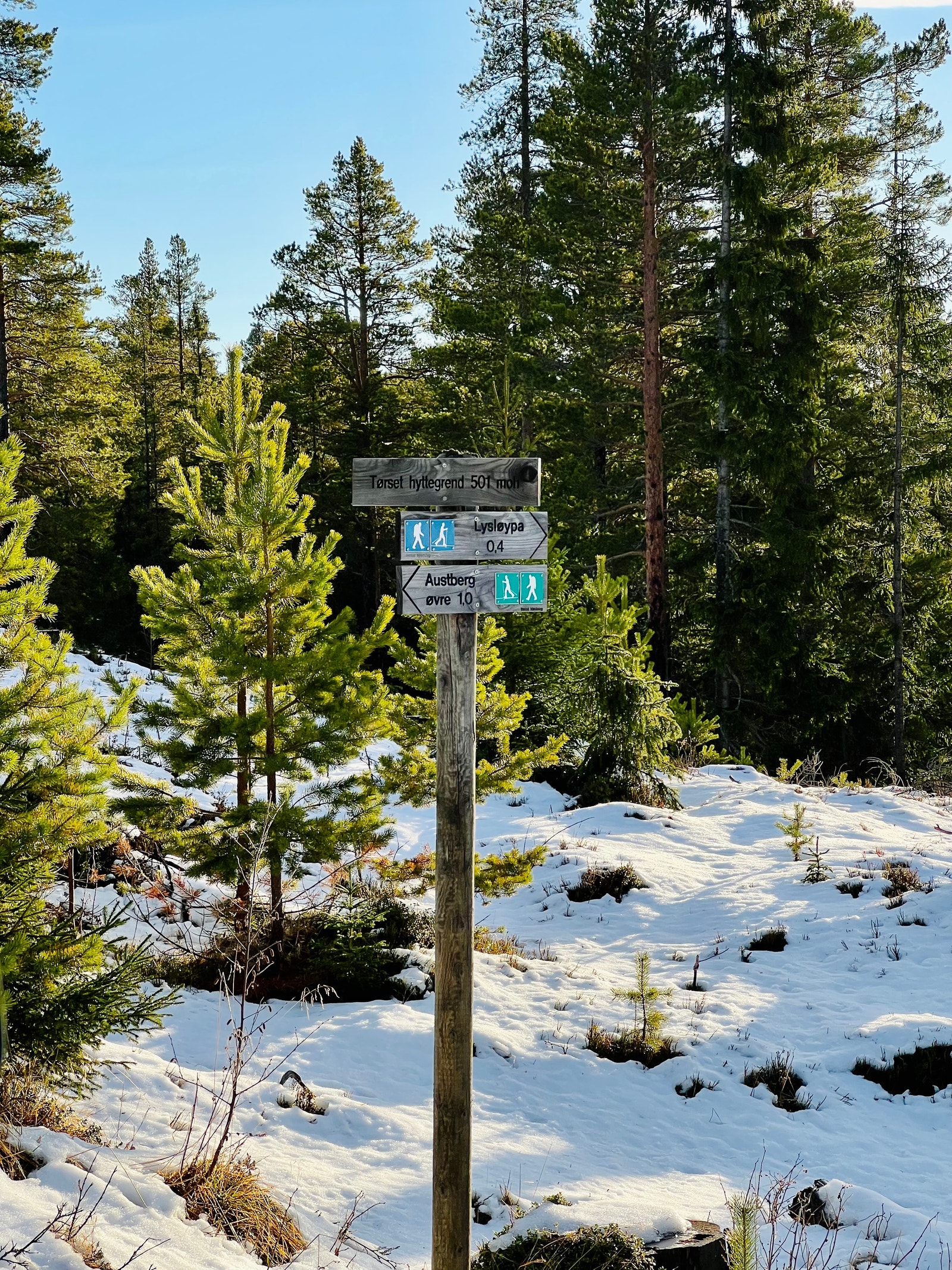 Skiløyper ved Tørset hyttegrend. 5-7 min kjøring fra hytta. Galleribilde
