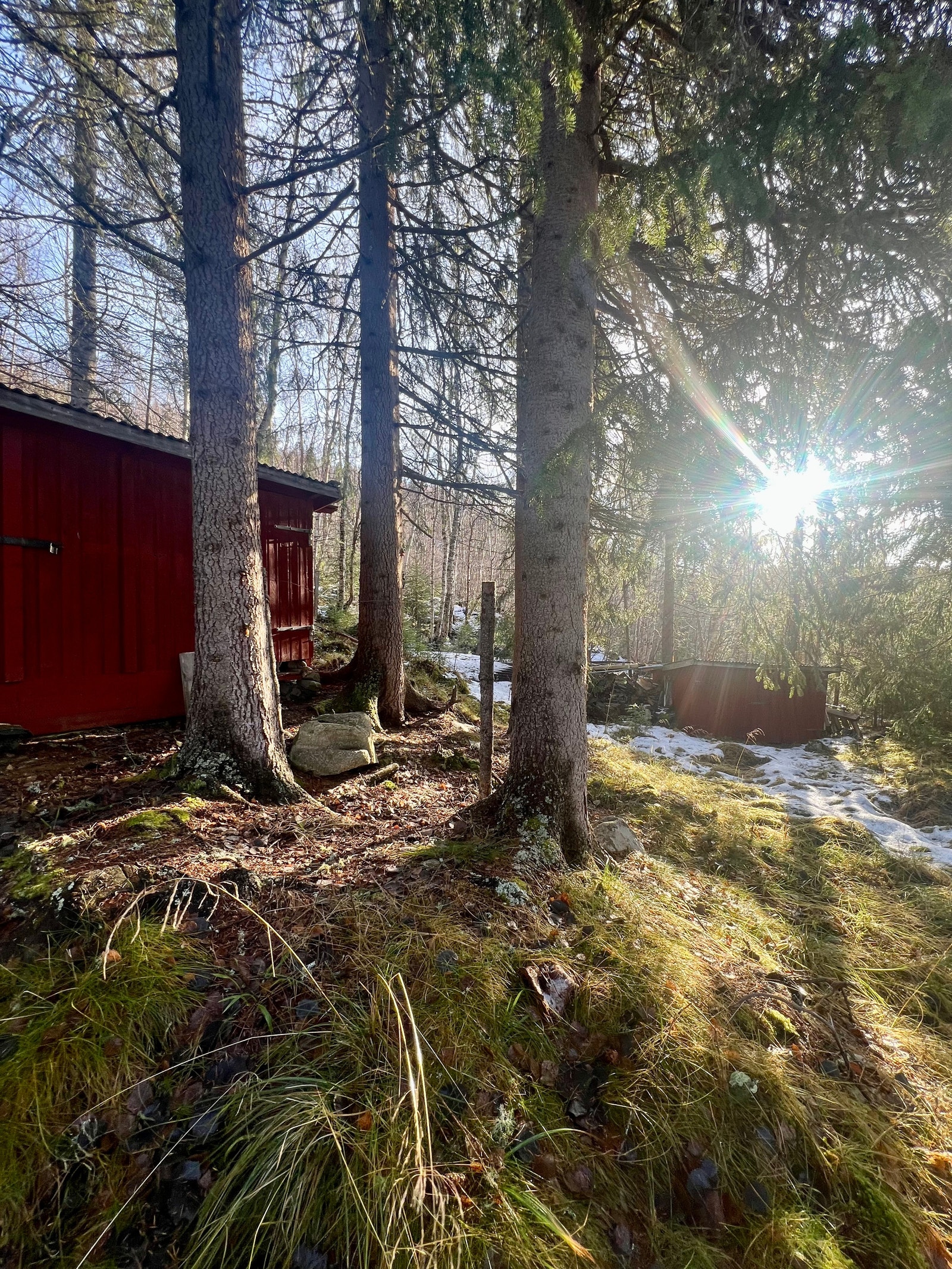 To boder på tomten. Den ene har et toalettrom, samt et bod. Den andre brukes som vedlager. Galleribilde