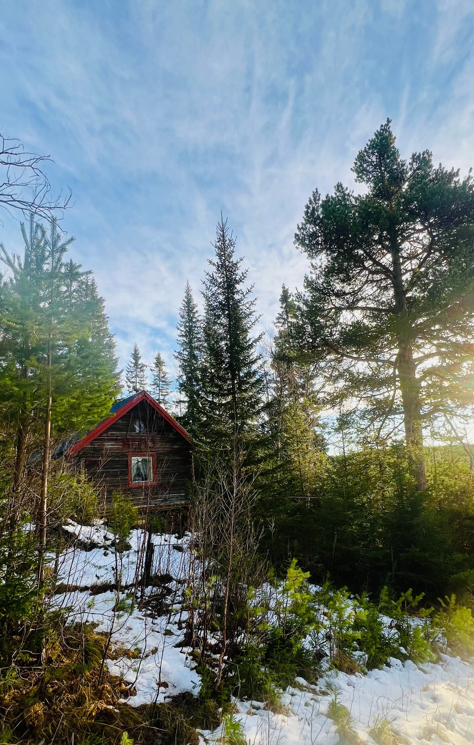 Hytta ligger i et trivelig skogsterreng. Ved å felle trær på tomta vil en ha bedret utsikt sør og vest. Galleribilde