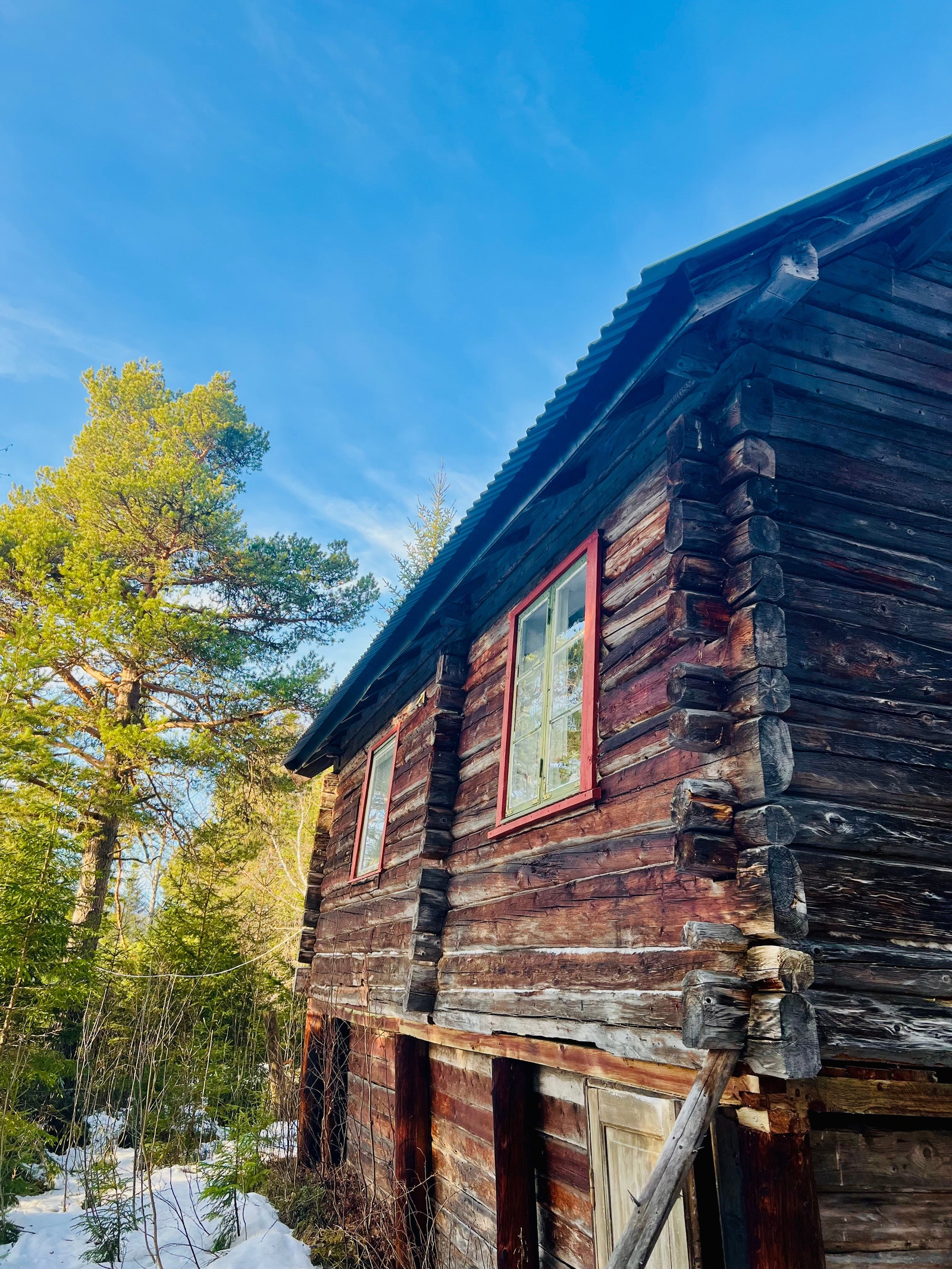 Vakkert tømmer Galleribilde