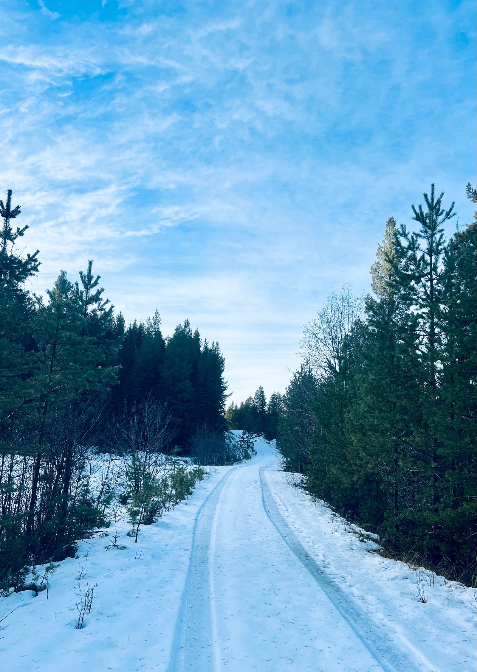 Veien til hytta Galleribilde