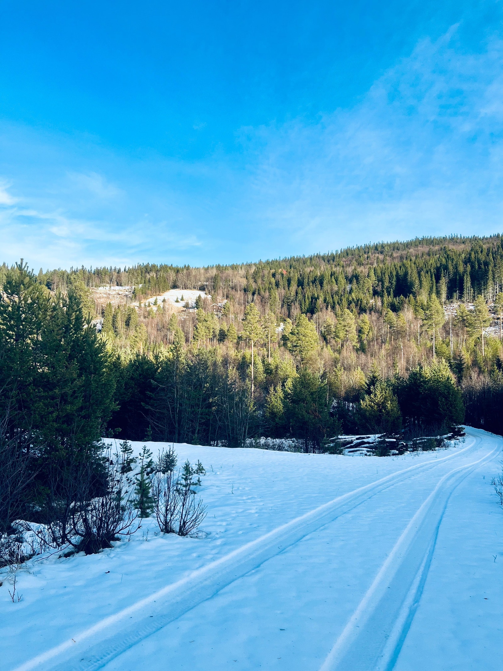 Privat vei til hytta Galleribilde