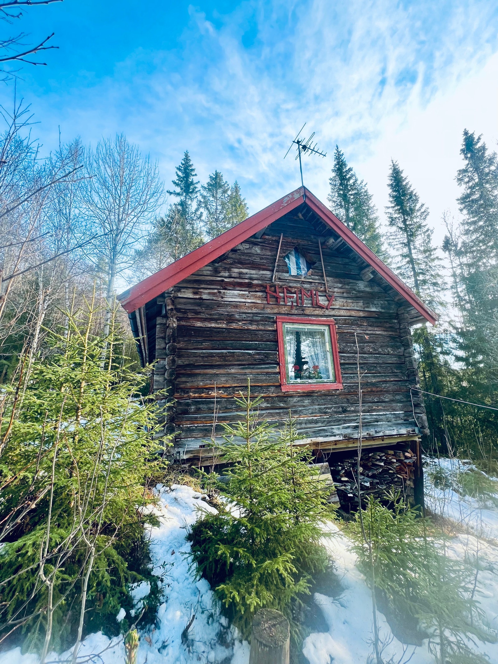 Hytta ligger i et åpent skogsområde. Galleribilde