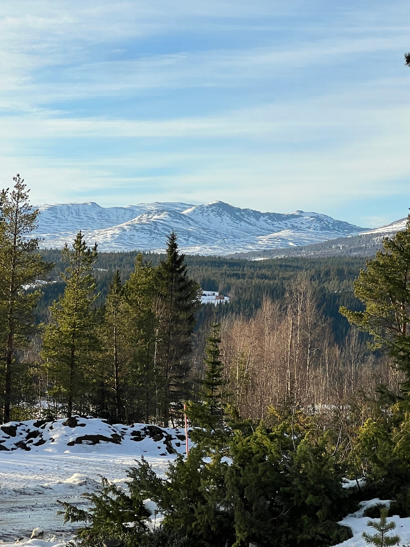 Utsikt fra Tørset hyttegrend hvor skiløyper kjøres opp. Galleribilde