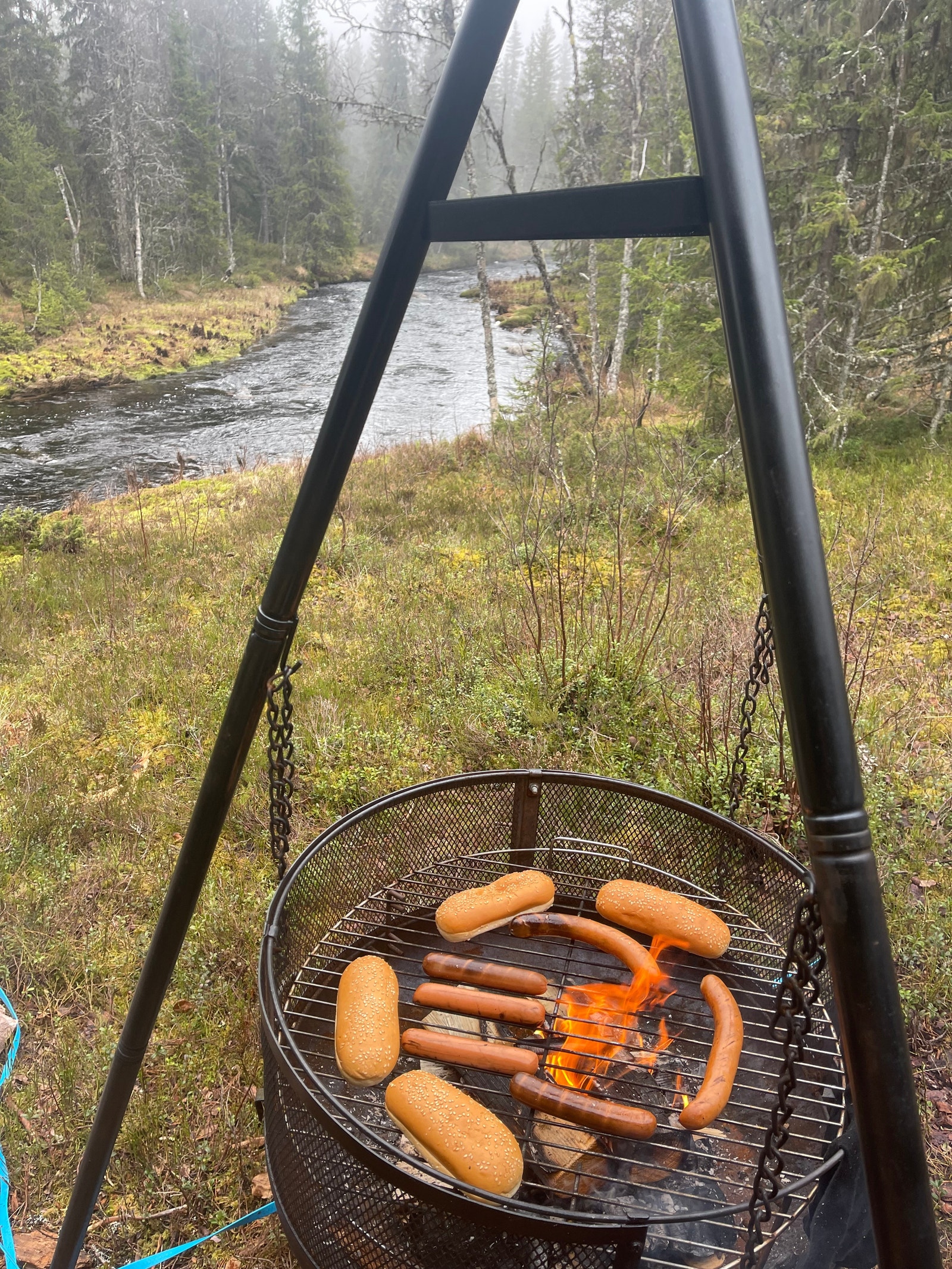 Kjempefin Gapahuk bygd i år 2024. Fin tur fra hytta ca 30 min. Oppkjørte løyper om vinteren Galleribilde