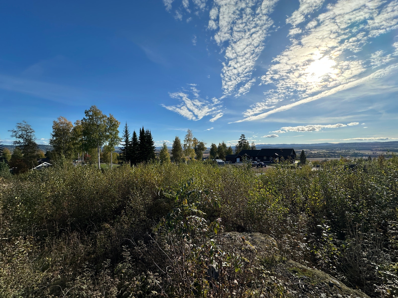 Bilde fra tomta retning sør Galleribilde