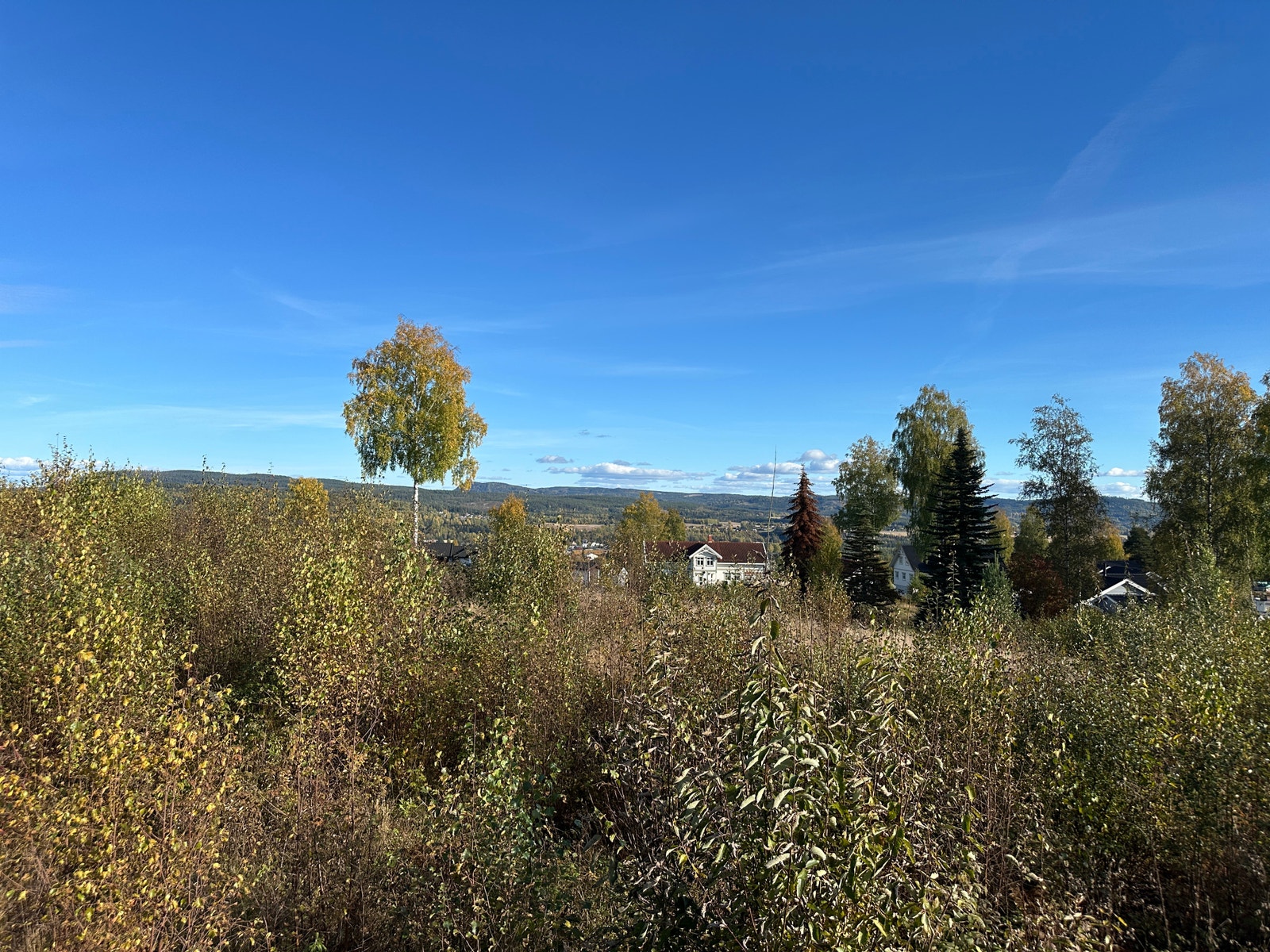 Bilde fra tomta retning øst Galleribilde