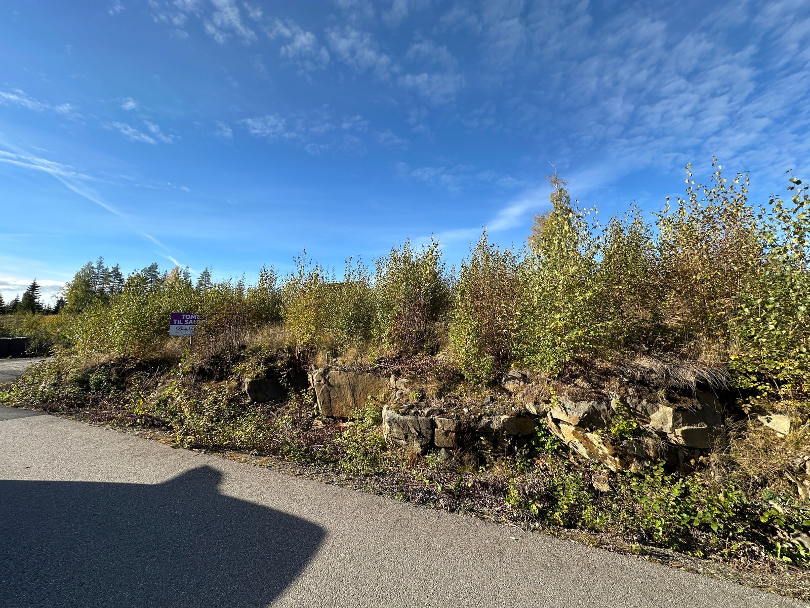 Tomta sett fra nedsiden Galleribilde