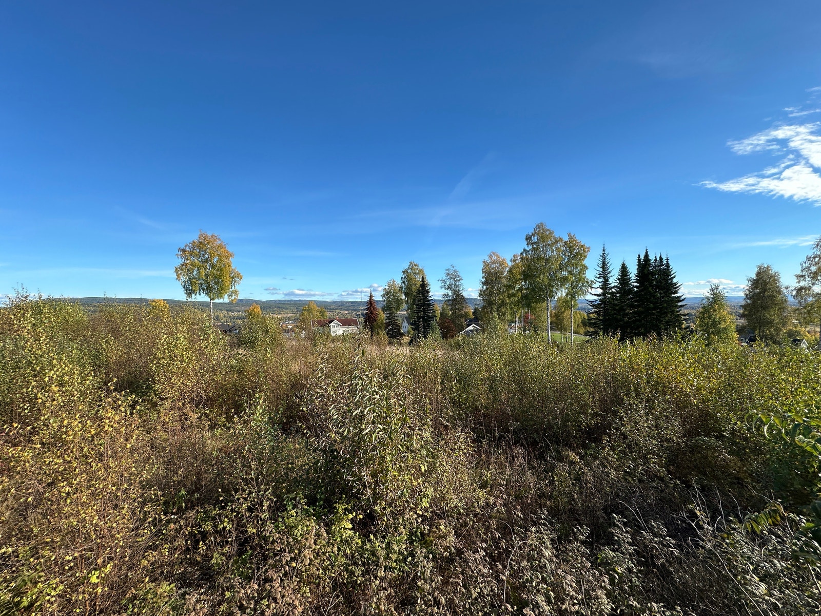 Bilde retning sør/øst Galleribilde