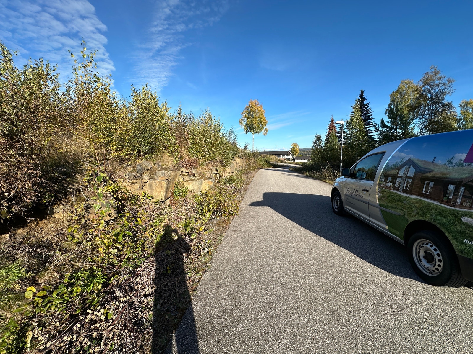 Veien på nedsiden av tomta Galleribilde