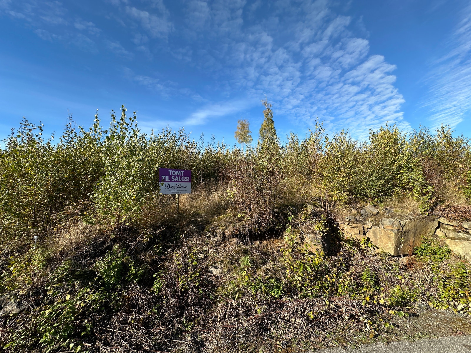 Tomta sett fra nedsiden Galleribilde