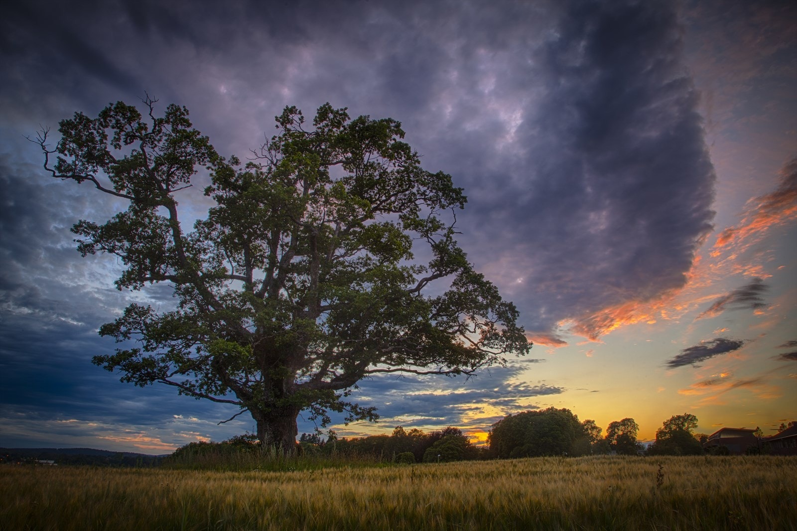 Velkommen til Ås! Nærområdet. Galleribilde