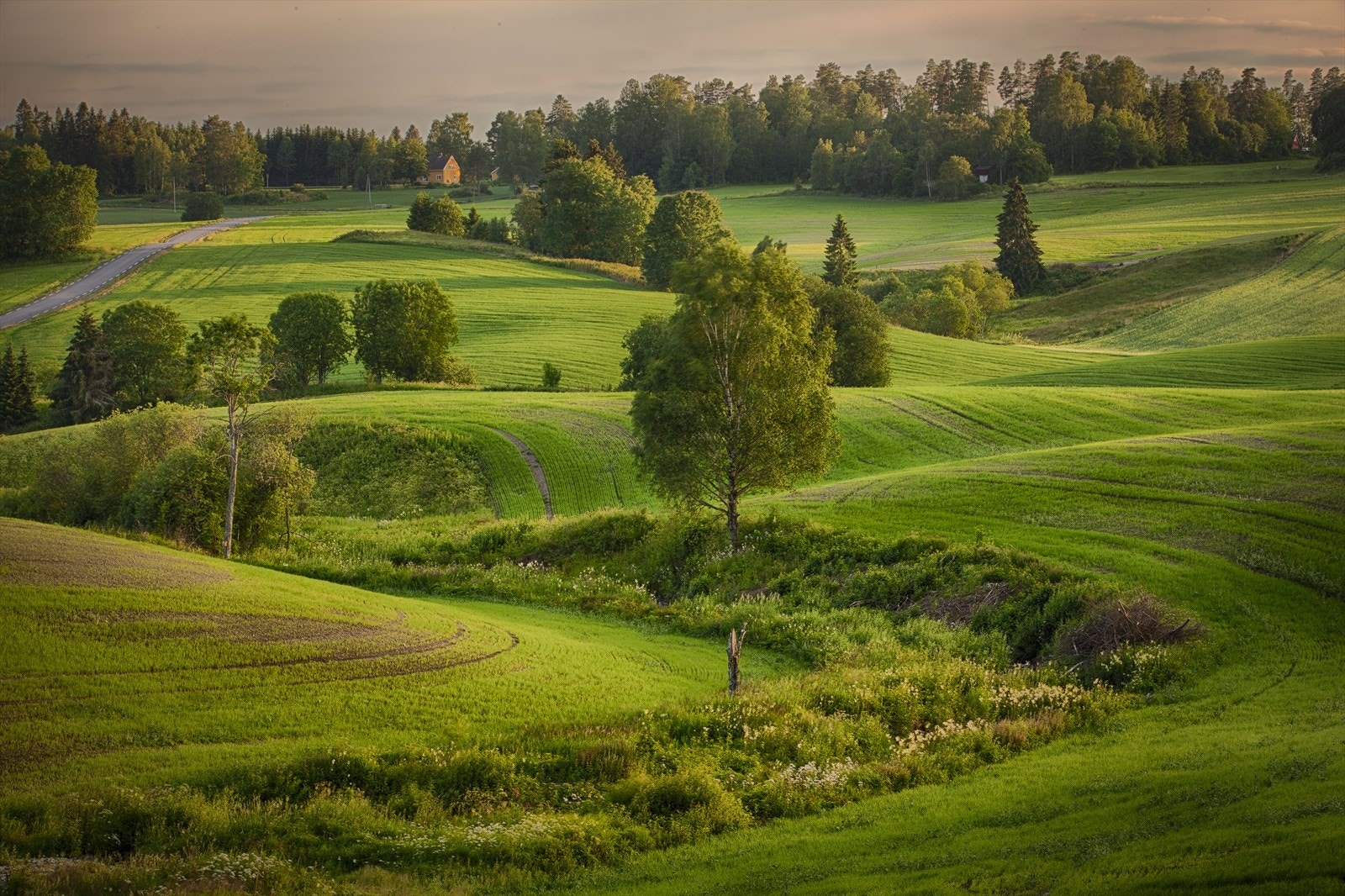 Velkommen til Ås! Nærområdet. Galleribilde