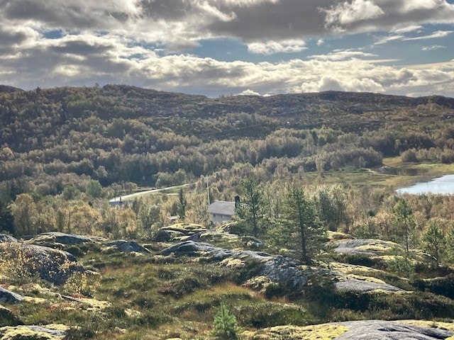 Fine turområder, også til fiskevann. Her mot sør. Galleribilde