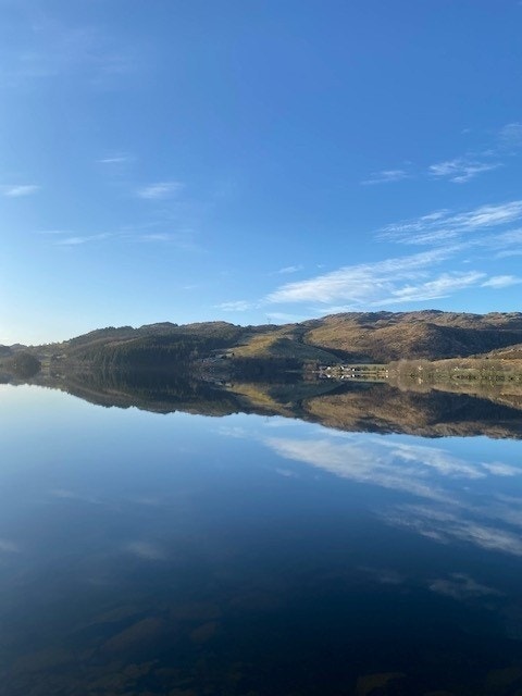 Bilde fra Ålgård. Galleribilde