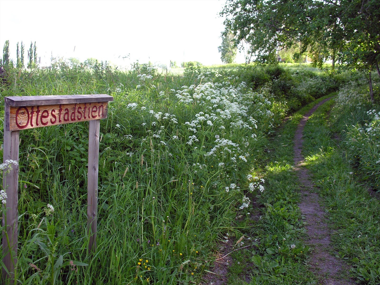 Området byr på fine turmuligheter som blant annet Ottestadstien. Foto: Stange kommune Galleribilde
