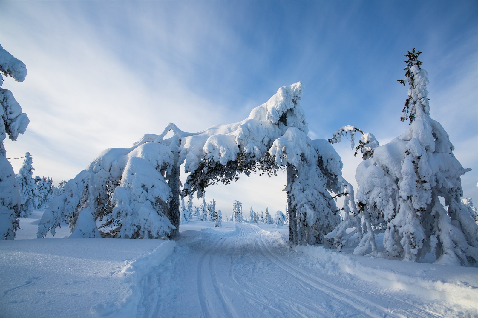 Når forholdene tillater det kjøres det opp skiløyper mange steder i Stange. Ellers tilbyr Hedmarksvidda, foto, et solid løypenett. Foto: Frederik Garshol. Galleribilde
