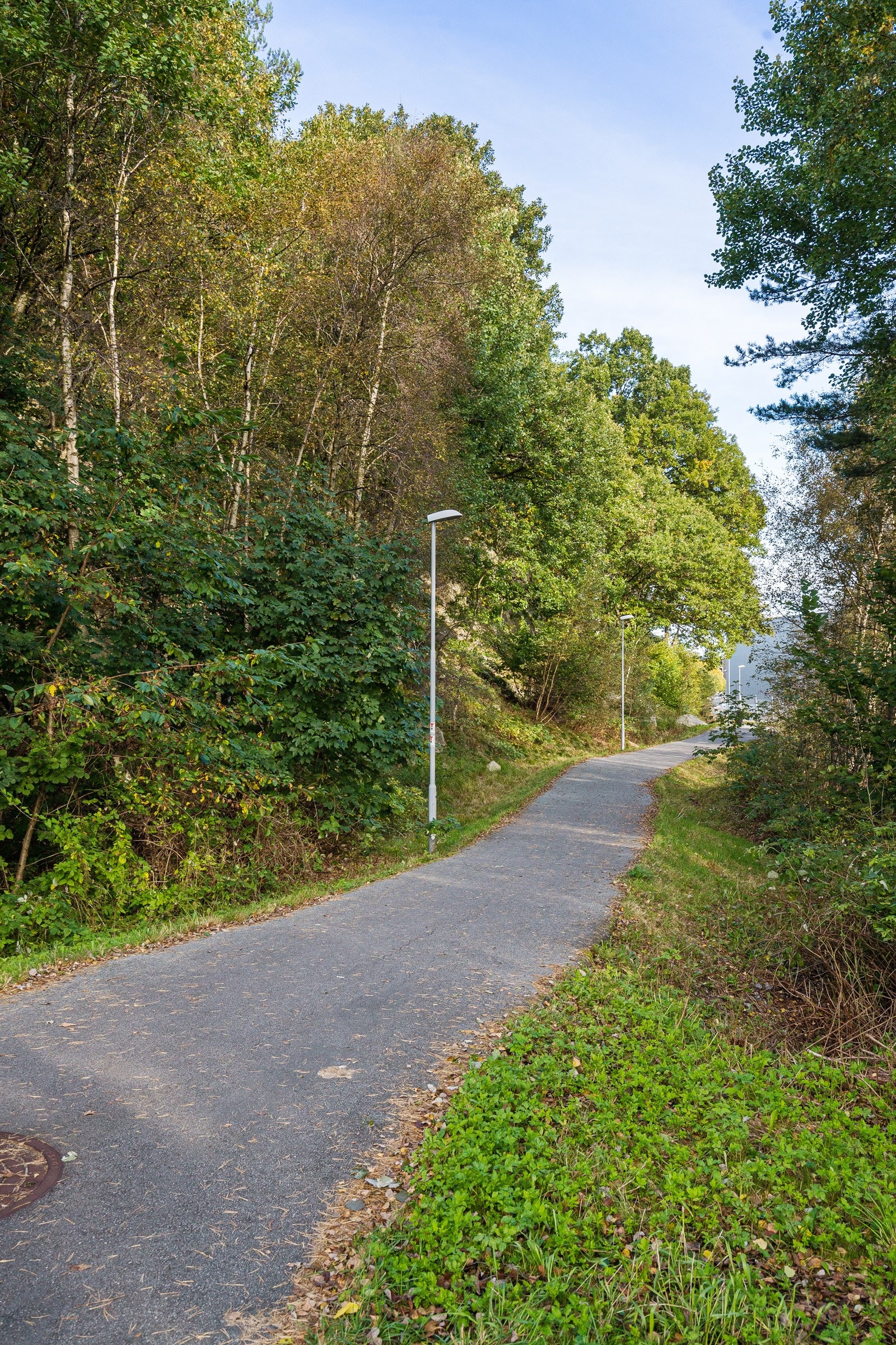 Nærområde Galleribilde