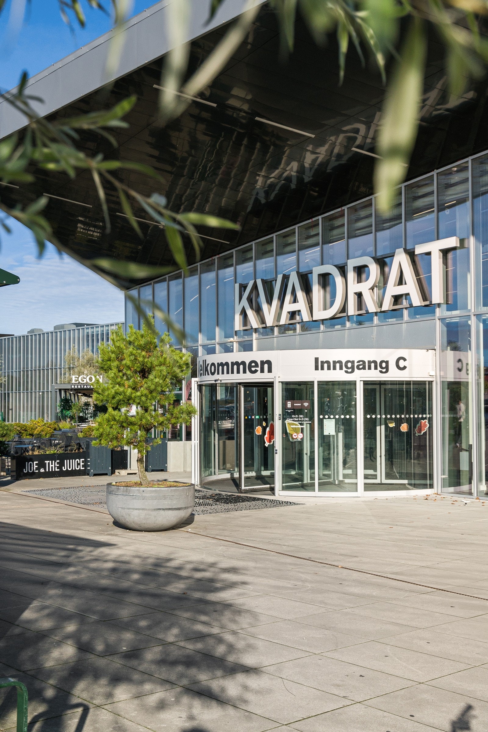 Nærområde Galleribilde