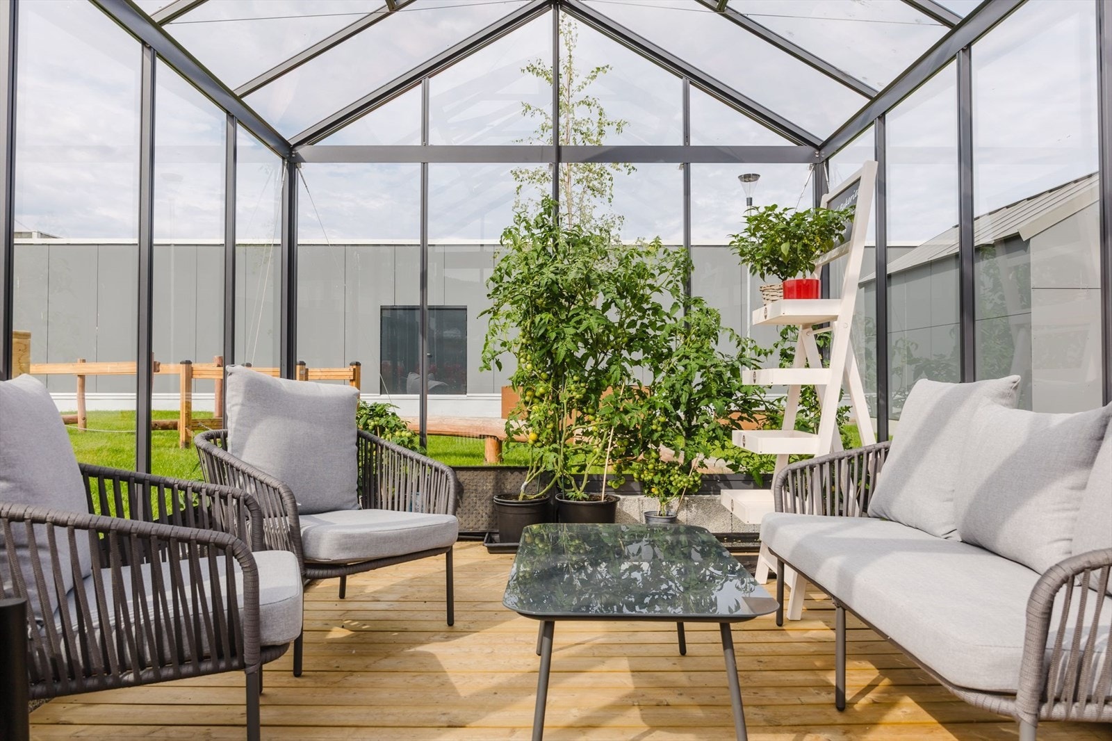 Drivhus - møteplass Galleribilde