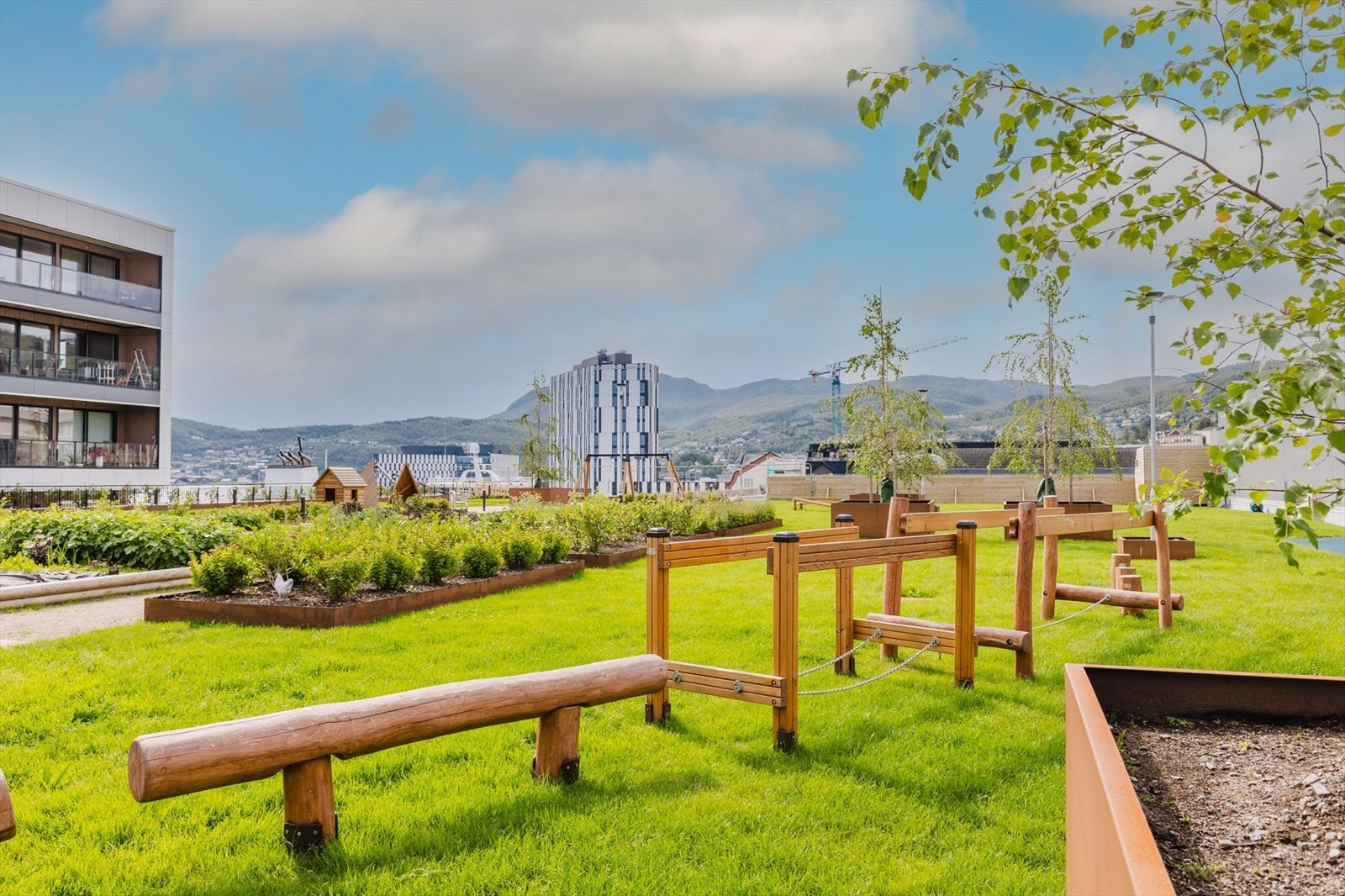 Hage med lekeapparater Galleribilde