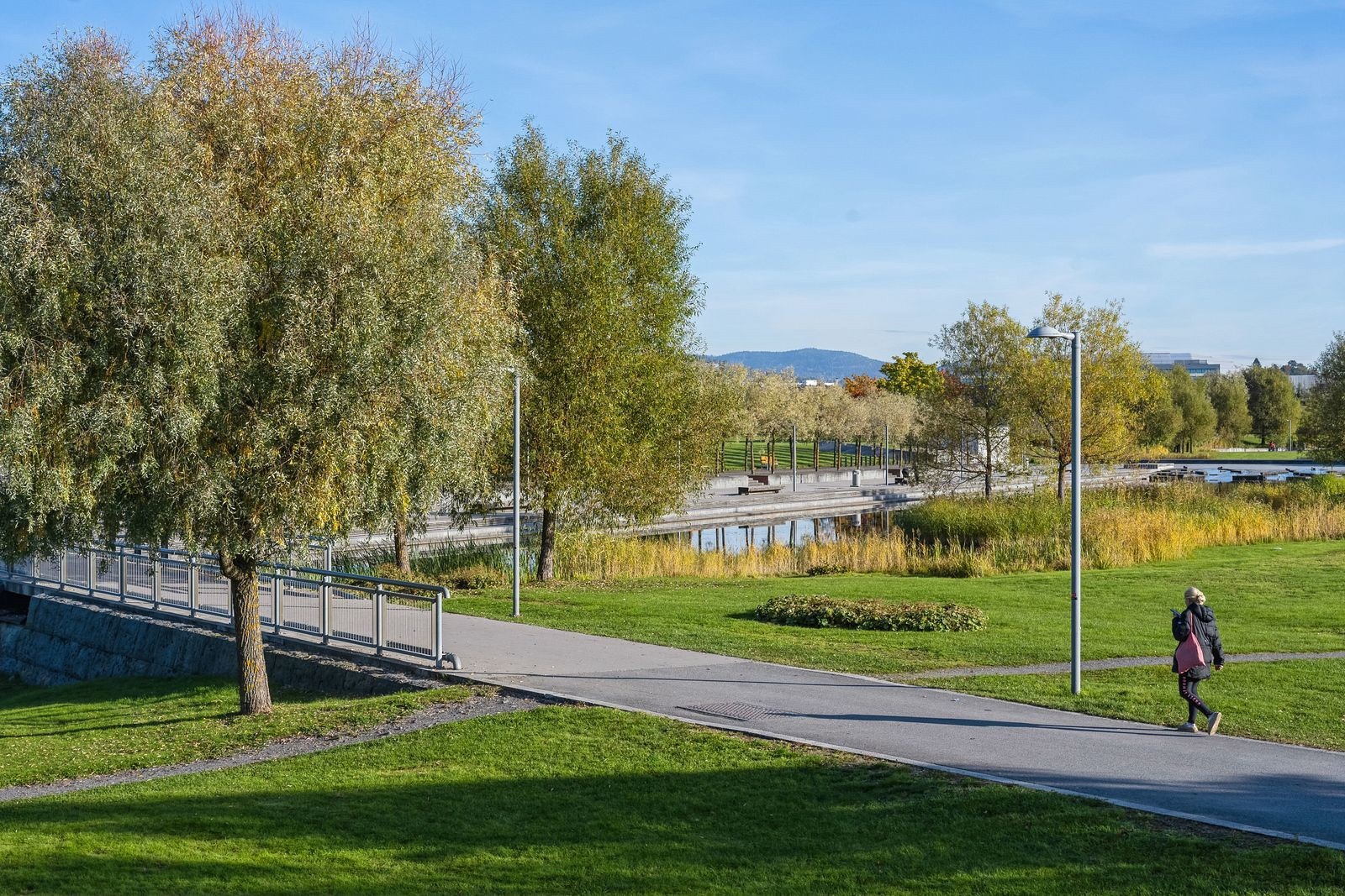 Nansenparken Galleribilde