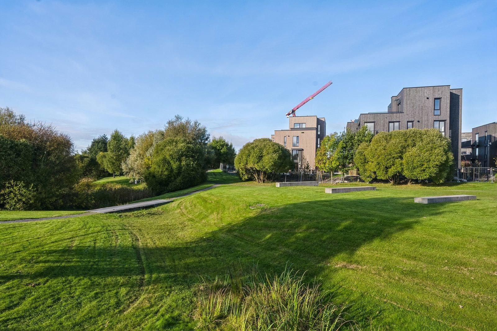 Nansenparken Galleribilde