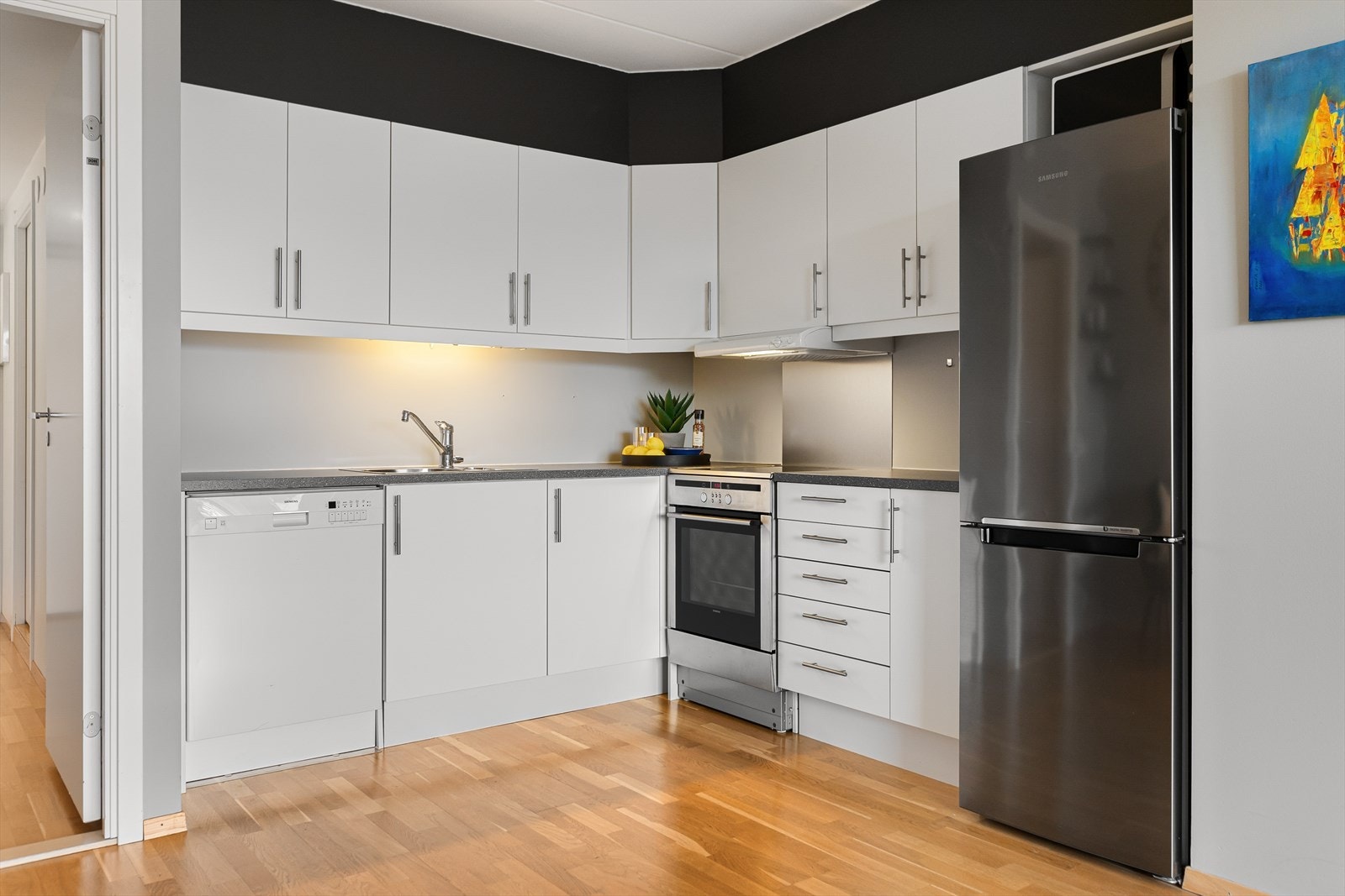 Frittstående komfyr, opplegg for oppvaskmaskin og avtrekksvifte med utkast til friluft (via boligens ventilasjonsanlegg). Galleribilde