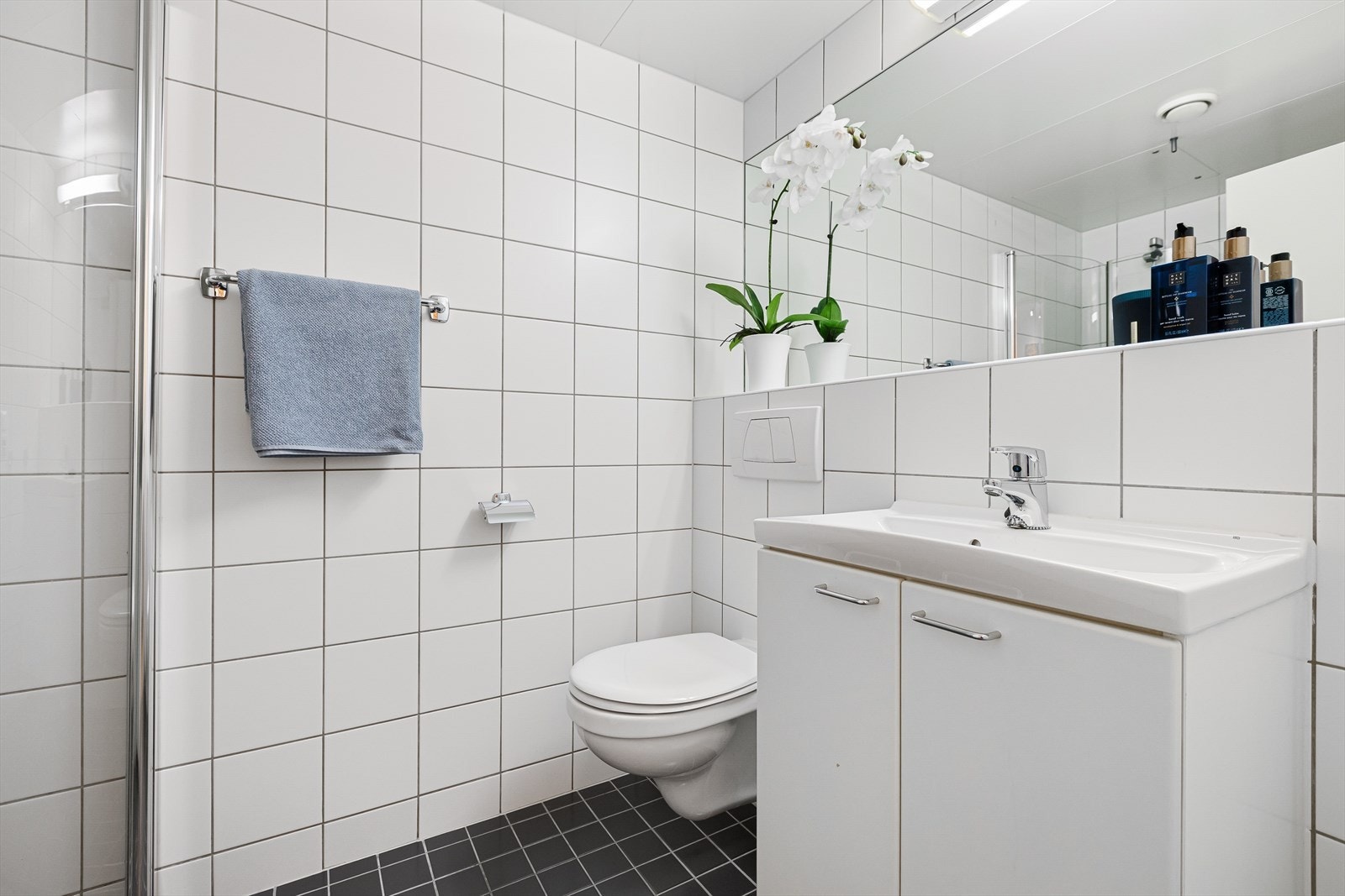 Det er innredet med vegghengt servant med hylle over, hyllen er under speil og strekker seg fra vegg til vegg. Galleribilde