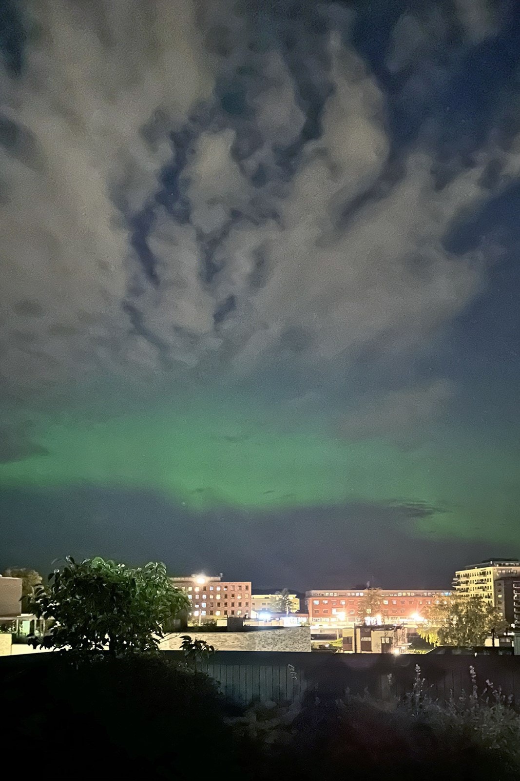 (Selgers bilde) Galleribilde