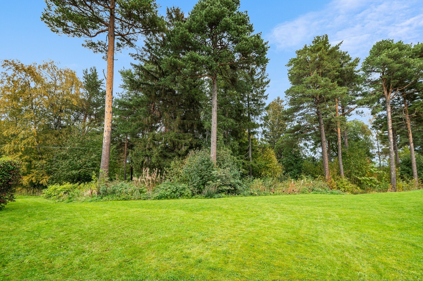 Flott plenareal grensende mot "Lilleskogen" - det blir ikke stort mer barnevennlig enn dette. Galleribilde