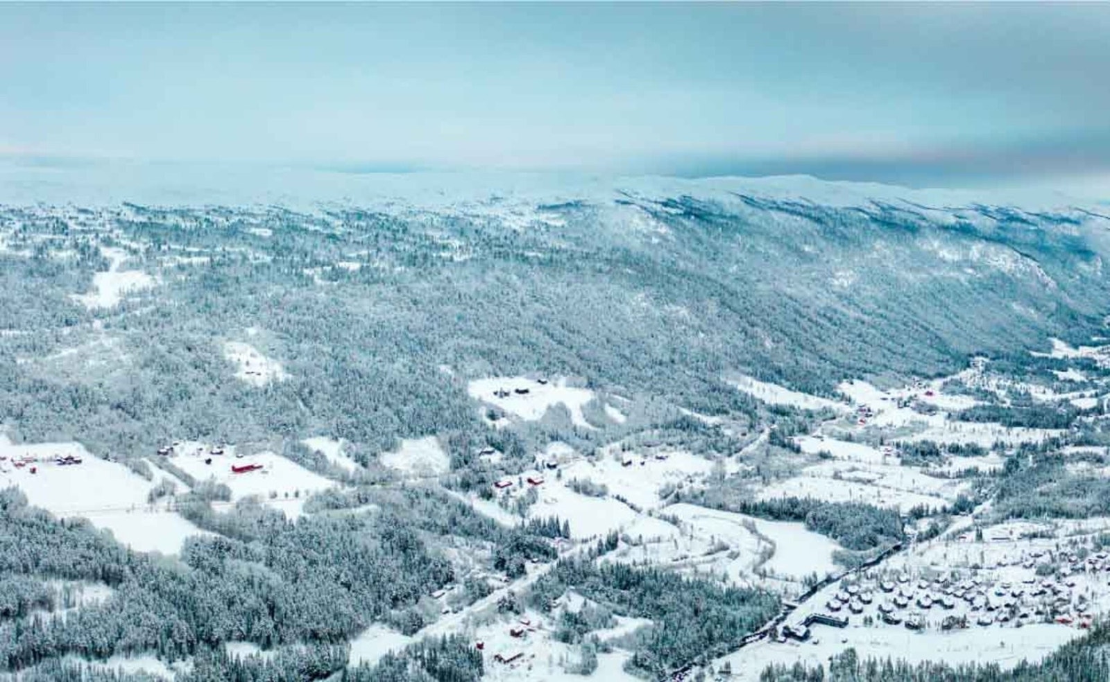 Dronefoto. Her ligger Fjellsnaret til venstre i bildet rett under tregrensen Galleribilde