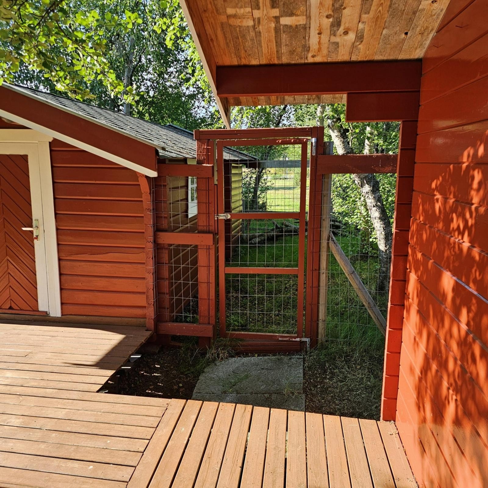 Egen hundegård Galleribilde