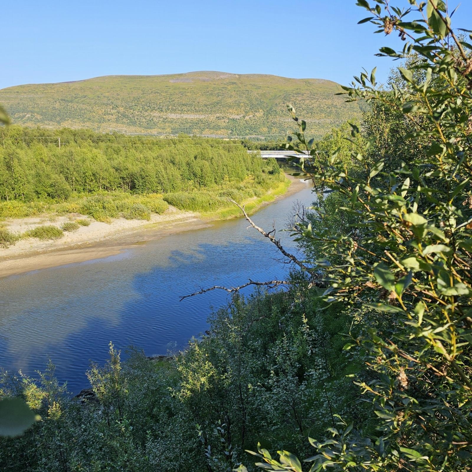 Masjokelva ligger like ved eiendommen Galleribilde
