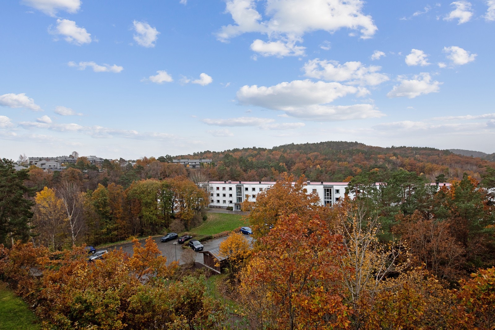 Velkommen til visning! Galleribilde