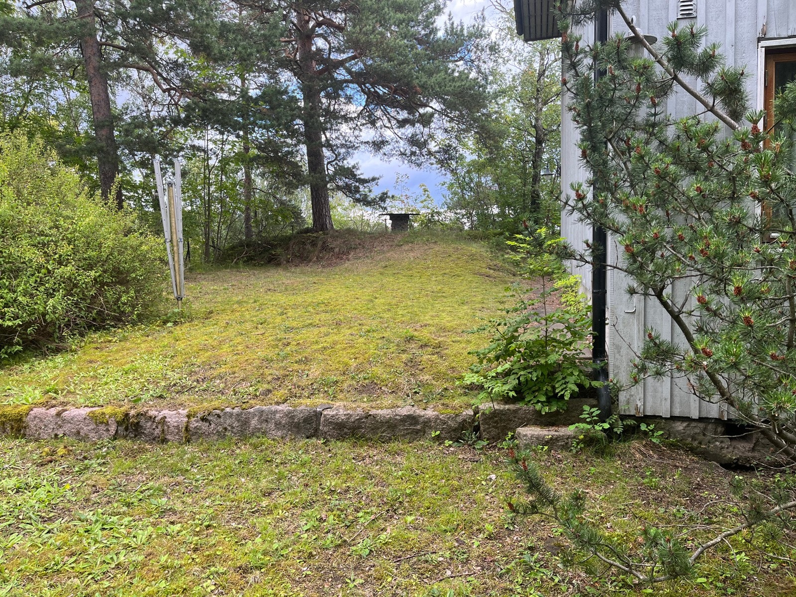 Hage nord for huset, naturtomt. Galleribilde